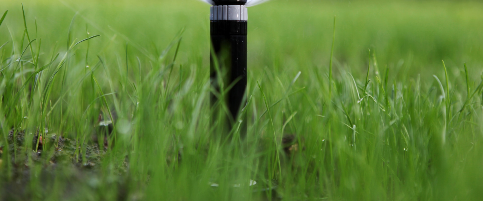 the-importance-of-lawn-maintenance-in-the-spring-in-omaha