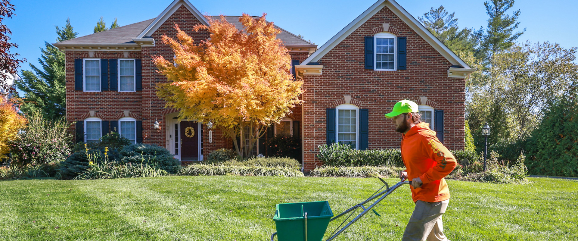 What company is the best for lawn care?