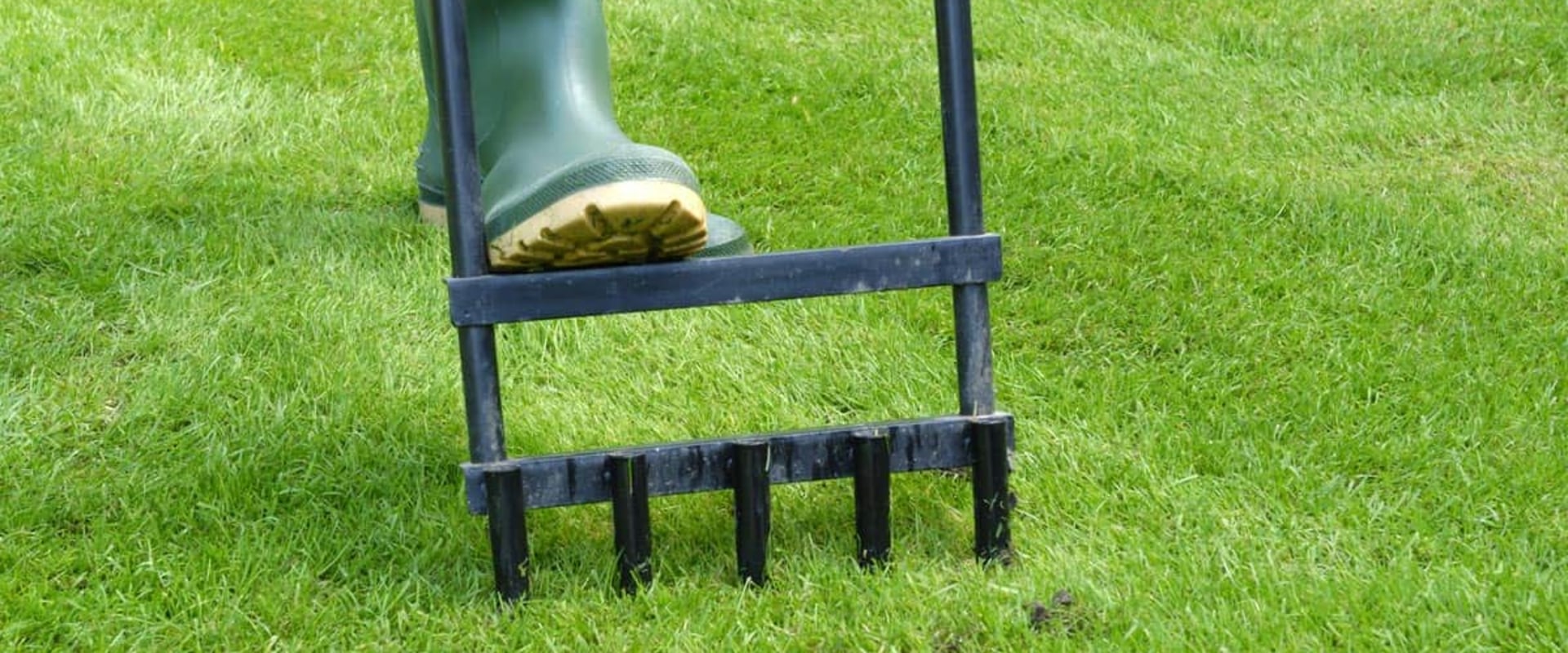 Can you aerate your lawn too much?