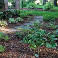 Why you should replace your lawn?