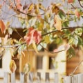 The Importance Of Proper Fence Installation For Healthy Lawn Maintenance In Naples, FL