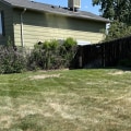 Is landscaping the same as lawn care?