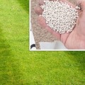 How many times a year should you treat your lawn?