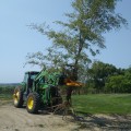Why Use A Dominator Tree Puller For Your Lawn Maintenance