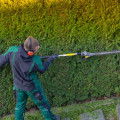 Expert Landscaper Services In Pembroke Pines: From Lawn Maintenance To Landscape Design