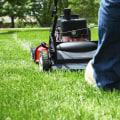 How to maintenance lawn?