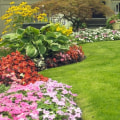 What are the steps for a nice lawn?