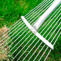 What is the best way to maintain a lawn?