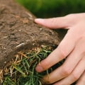 How To Choose The Right Lawn Servicing Company In Northern VA For Your Lawn Maintenance Needs