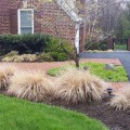 What kind of landscaping can you do in the winter?