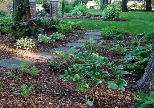 Why you should replace your lawn?