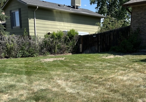 Is landscaping the same as lawn care?