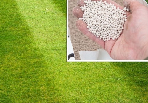 How many times a year should you treat your lawn?