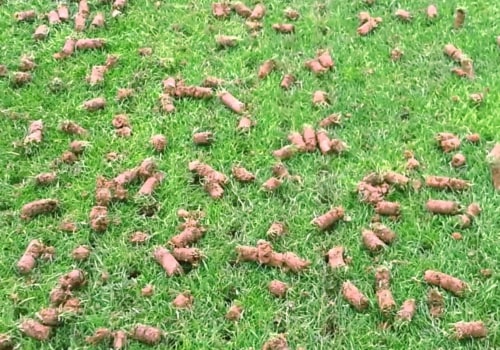 What happens if you don't aerate your lawn?