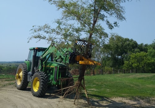 Why Use A Dominator Tree Puller For Your Lawn Maintenance