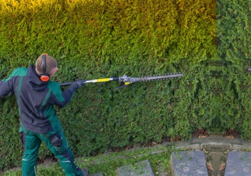 Expert Landscaper Services In Pembroke Pines: From Lawn Maintenance To Landscape Design