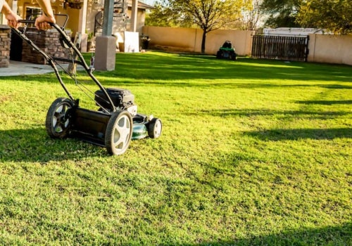 Who is responsible for yard maintenance?