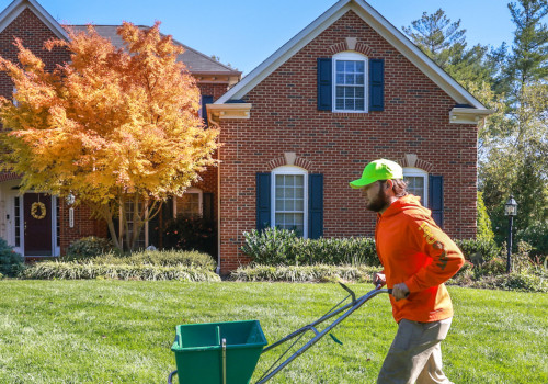 What company is the best for lawn care?