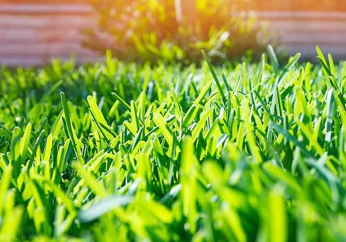 What does it mean to maintain a lawn?