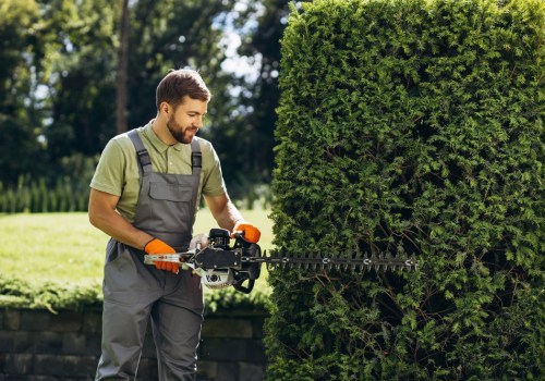 The Essential Guide To Lawn Maintenance For Portland's Commercial Landscapes