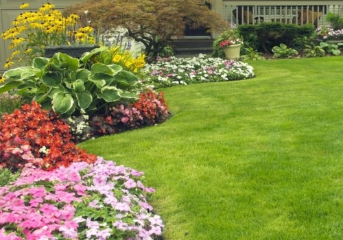 What are the steps for a nice lawn?