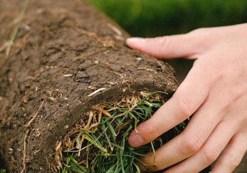 How To Choose The Right Lawn Servicing Company In Northern VA For Your Lawn Maintenance Needs