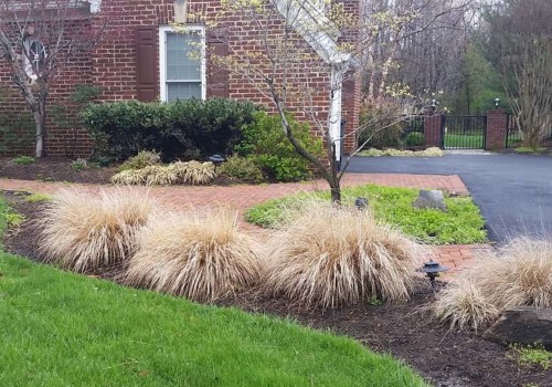 What kind of landscaping can you do in the winter?